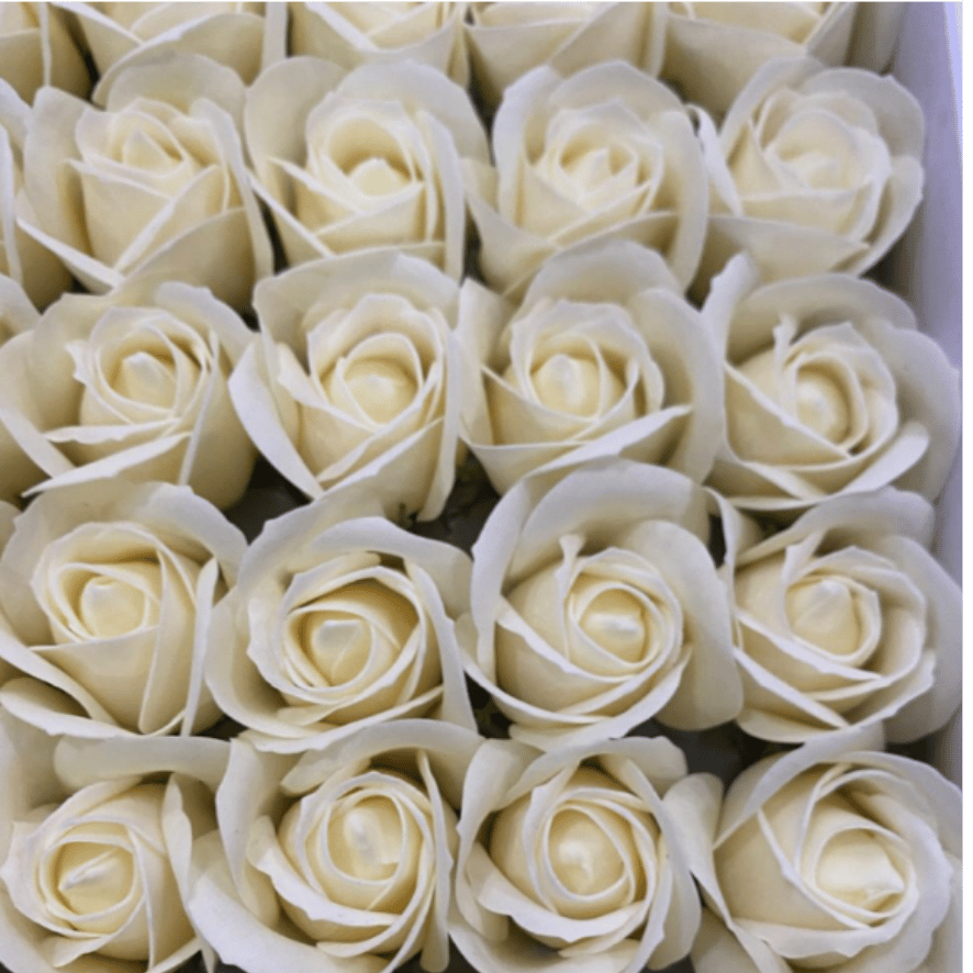 catalogo rosas