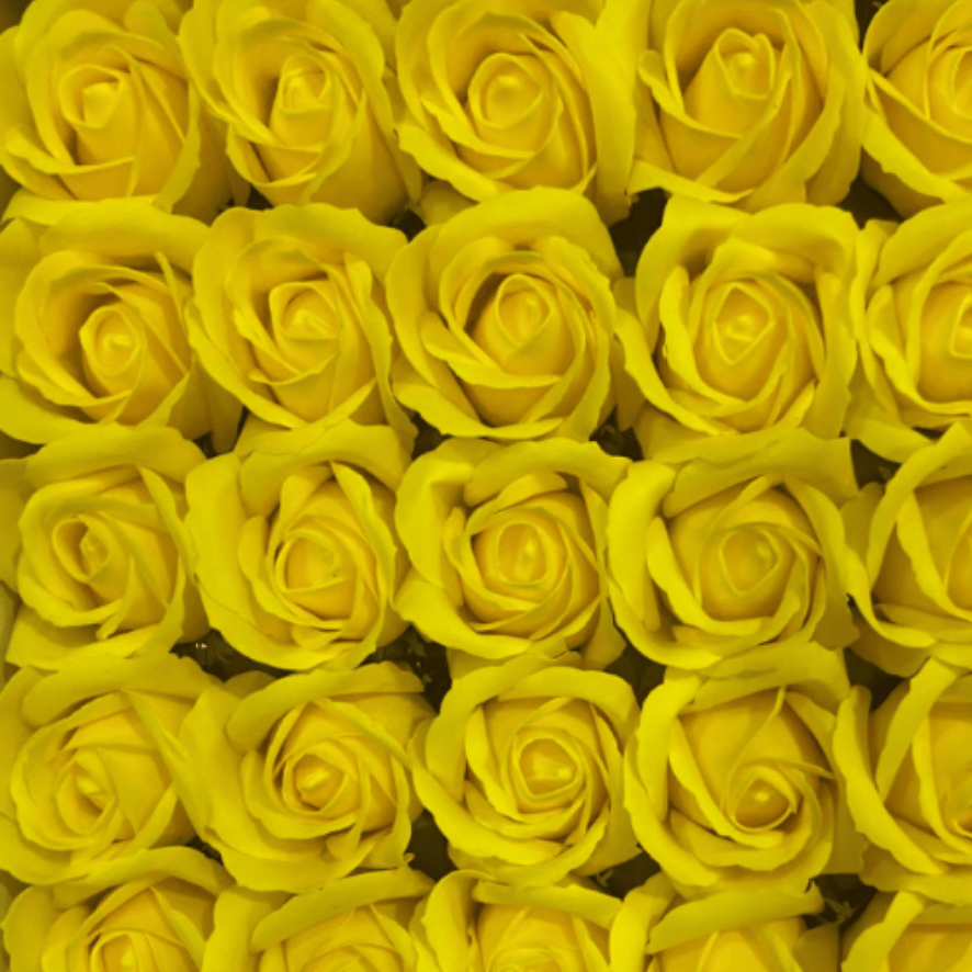 catalogo rosas