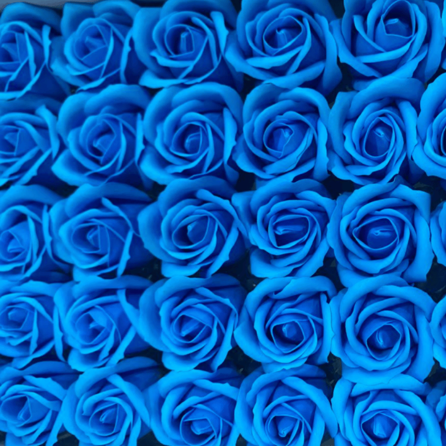 catalogo rosas
