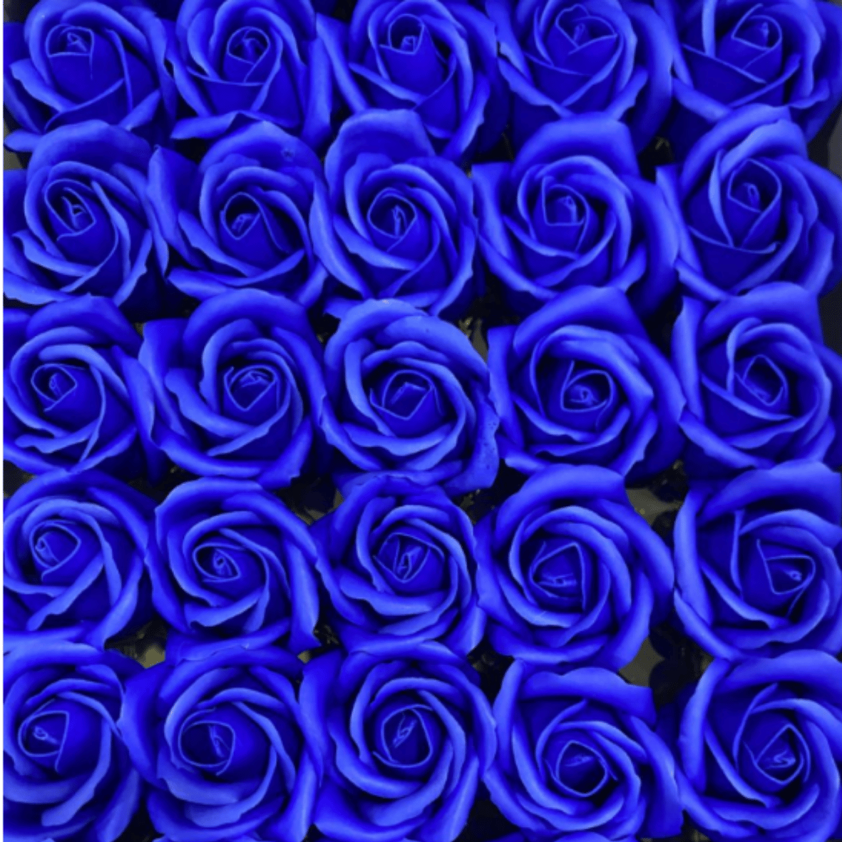 catalogo rosas