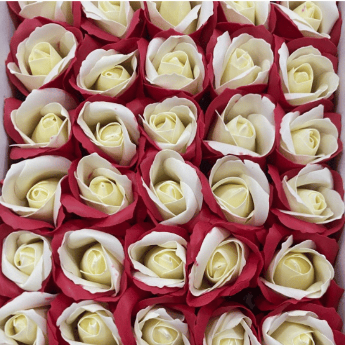 catalogo rosas