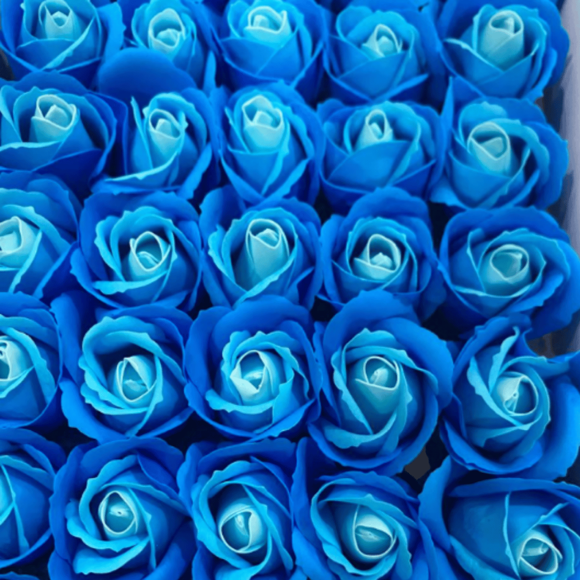 catalogo rosas