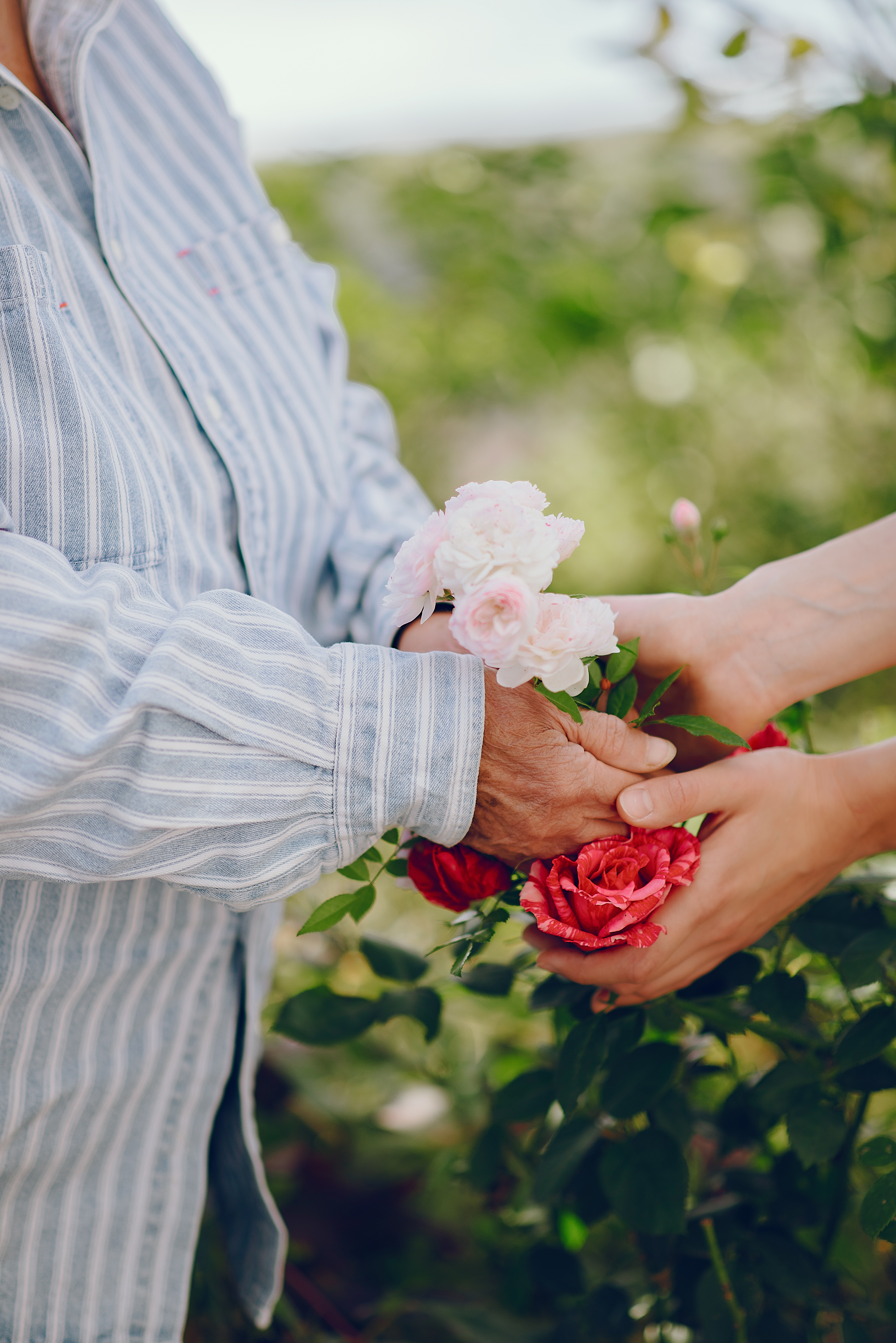 Arreglos florales eternos